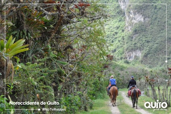 El Chocó Andino De Pichincha Celebra Su Segundo Aniversario De ...