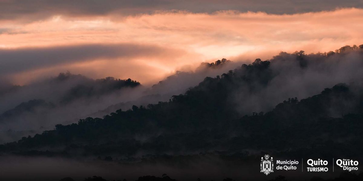 El Chocó Andino, Un Paraíso Para La Práctica Del Ecoturismo - Empresa ...